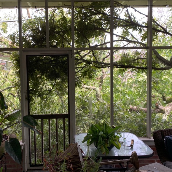 Meet the Posher - Tami - Picture 5 of 8